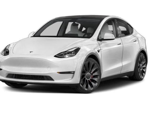 TESLA MODEL Y 2023 7SAYGDEF8PA049106 image